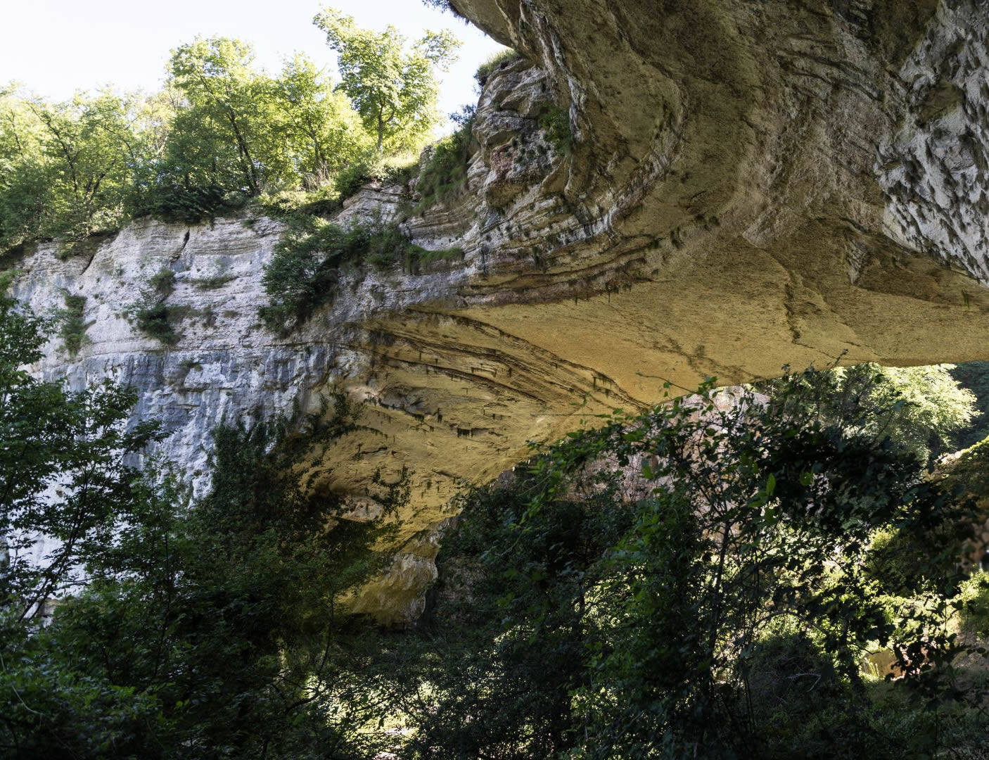 Storia della Vlpantena Valpolicella