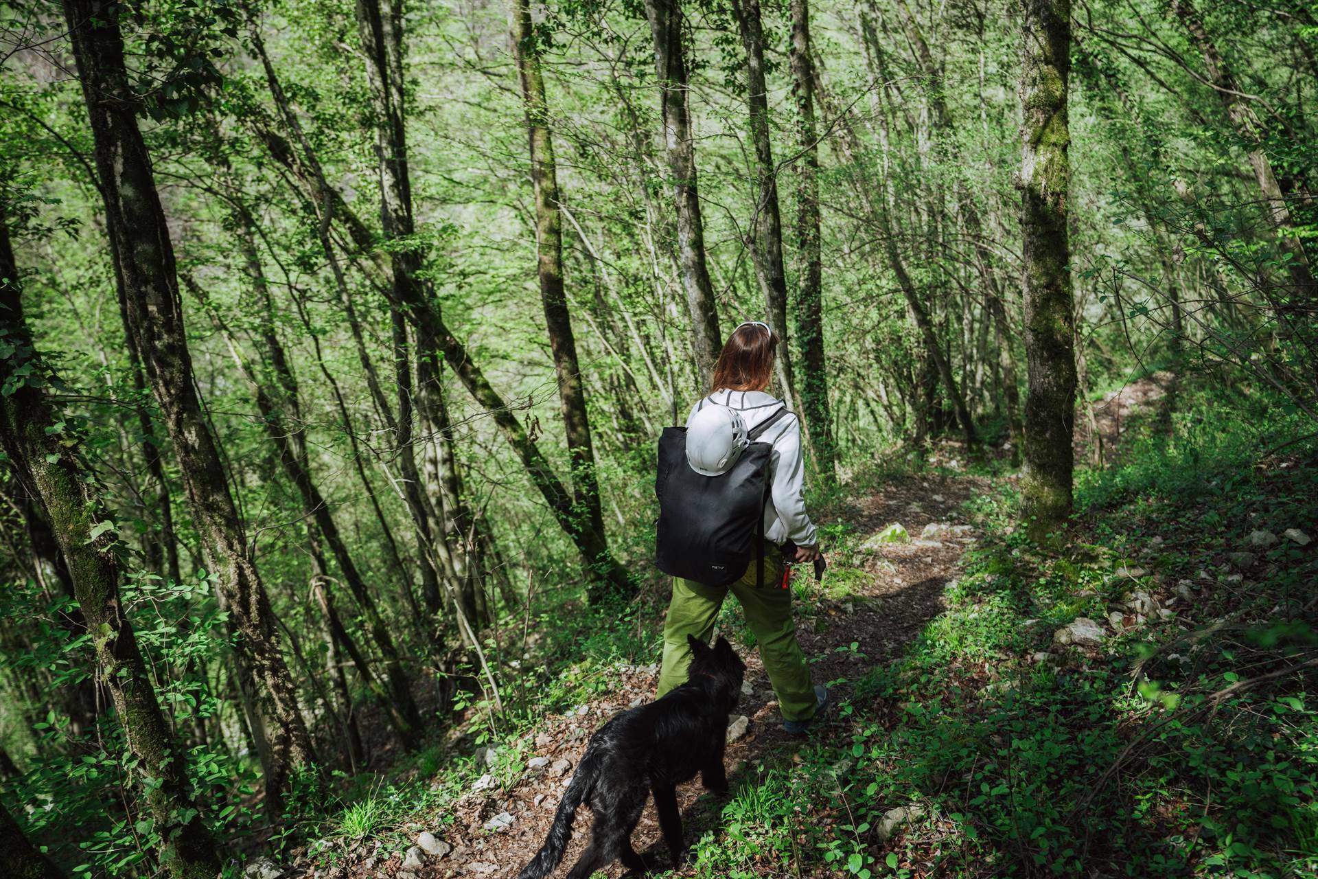 Passeggiate tra natura e storia