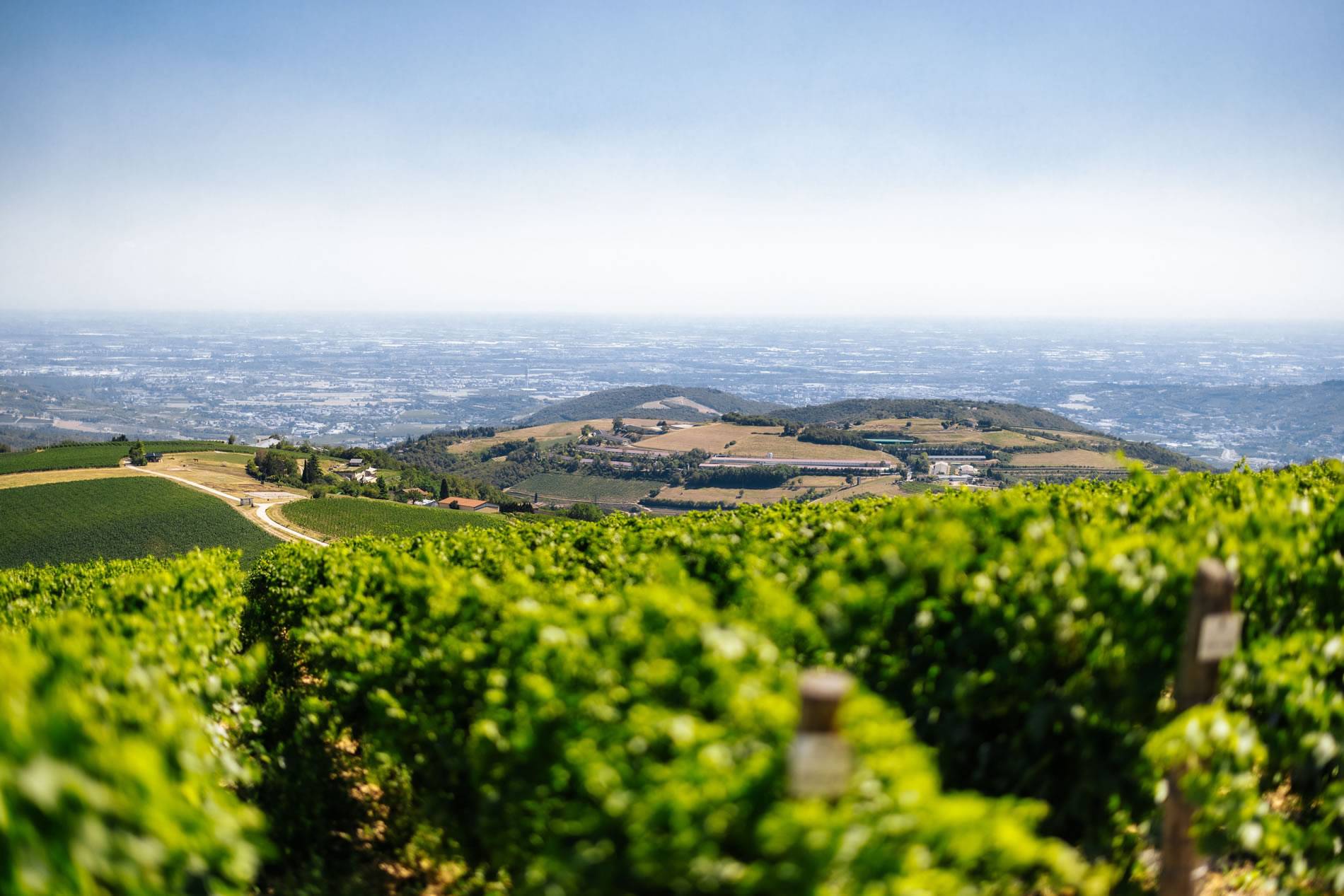 Dieci chilometri da Verona: la Valle degli Dei dentro al turismo veronese Dieci chilometri da Verona: la Valle degli Dei dentro al turismo veronese