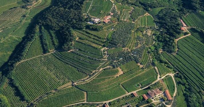 Cinque nuove realtà entrano nella Rete Valpantena Cinque nuove realtà entrano nella Rete Valpantena