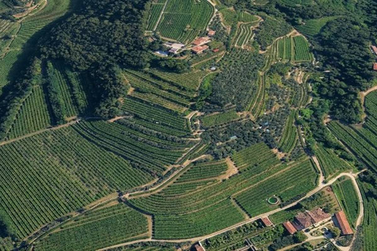 Cinque nuove realtà entrano nella Rete Valpantena Cinque nuove realtà entrano nella Rete Valpantena