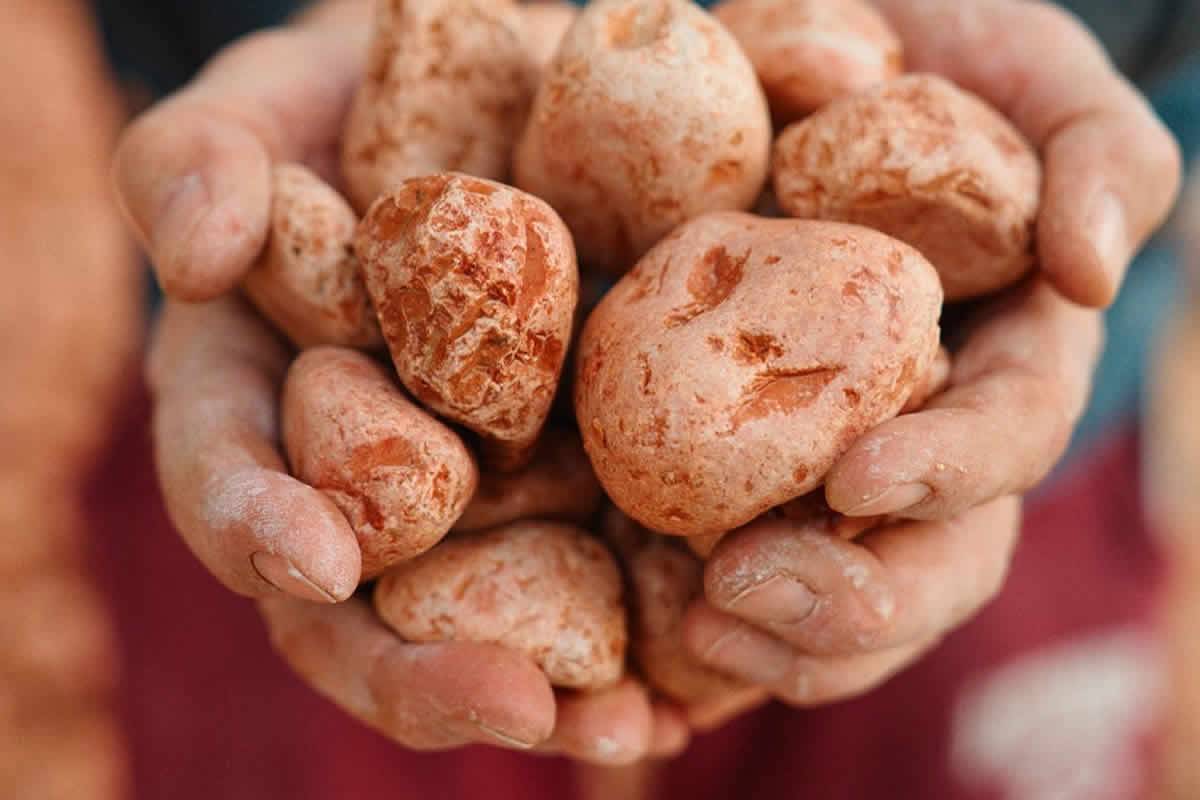 Il Rosso Ammonitico Veronese: la pietra del mare come asset identitario Il Rosso Ammonitico Veronese: la pietra del mare come asset identitario