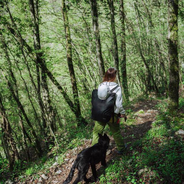 Passeggiate tra natura e storia