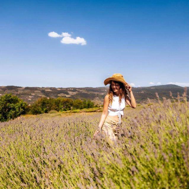 Alla ricerca della lavanda