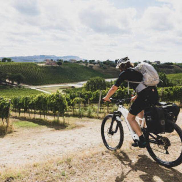 Bike&Wine con Andrea Guolo