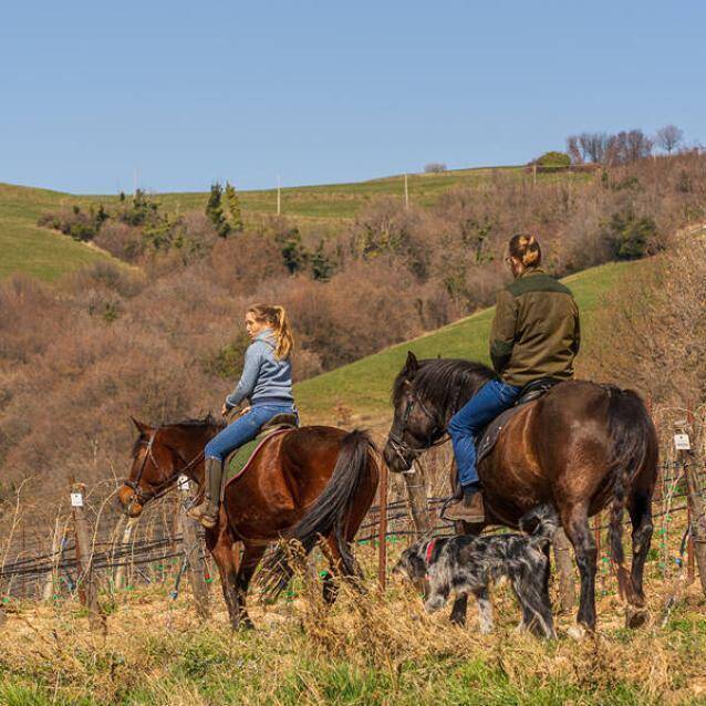 Horse trekking