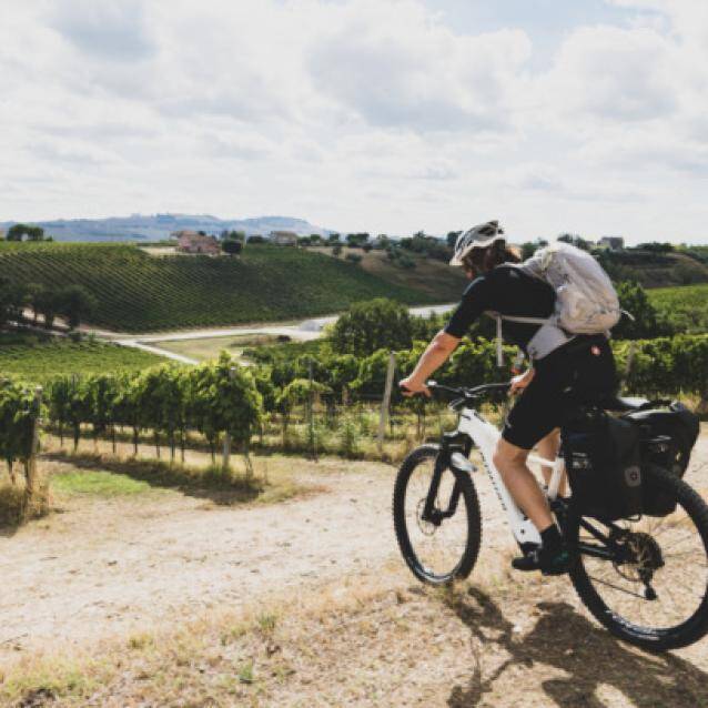 Bike&Wine with Andrea Guolo